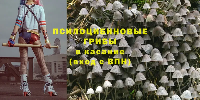 omg   купить  сайты  Волгоград  Псилоцибиновые грибы MAGIC MUSHROOMS 